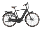 Gazelle E-Bike Arroyo C8 HMB Black Herren
