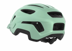 Alpina PARANUS in Pastel Green Matt