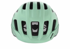 Alpina PARANUS in Pastel Green Matt