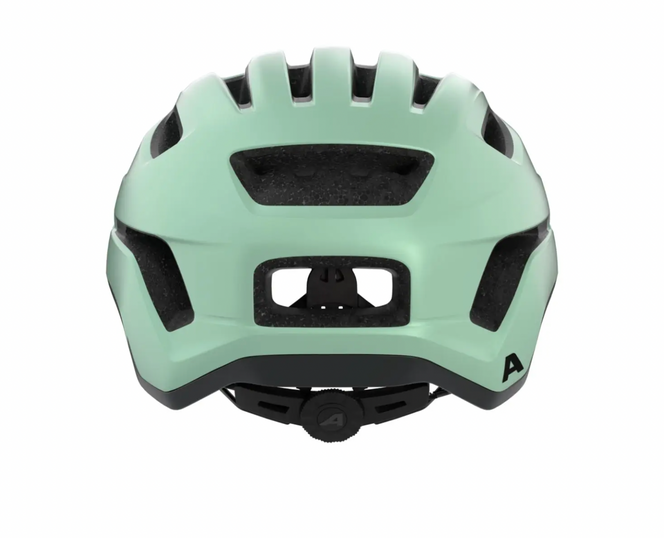 Alpina PARANUS in Pastel Green Matt