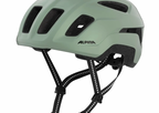 Alpina PARANUS URBAN in Willow Green Matt