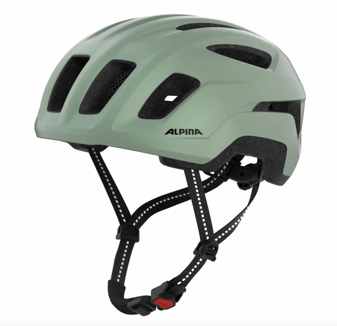 Alpina PARANUS URBAN in Willow Green Matt