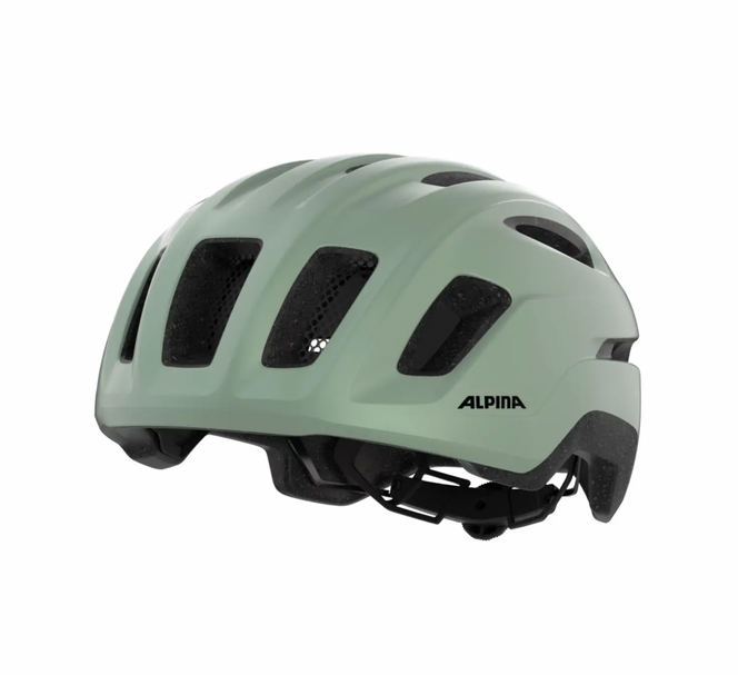 Alpina PARANUS URBAN in Willow Green Matt
