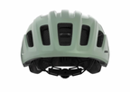 Alpina PARANUS URBAN in Willow Green Matt