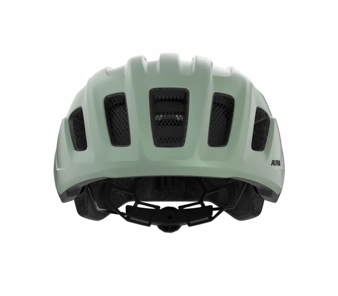 Alpina PARANUS URBAN in Willow Green Matt