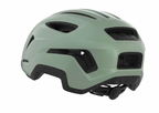 Alpina PARANUS URBAN in Willow Green Matt