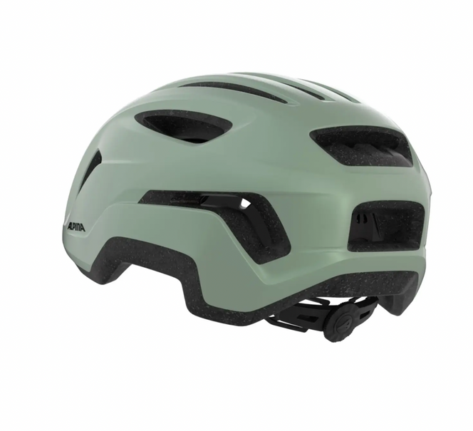 Alpina PARANUS URBAN in Willow Green Matt