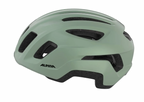 Alpina PARANUS URBAN in Willow Green Matt