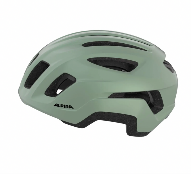 Alpina PARANUS URBAN in Willow Green Matt