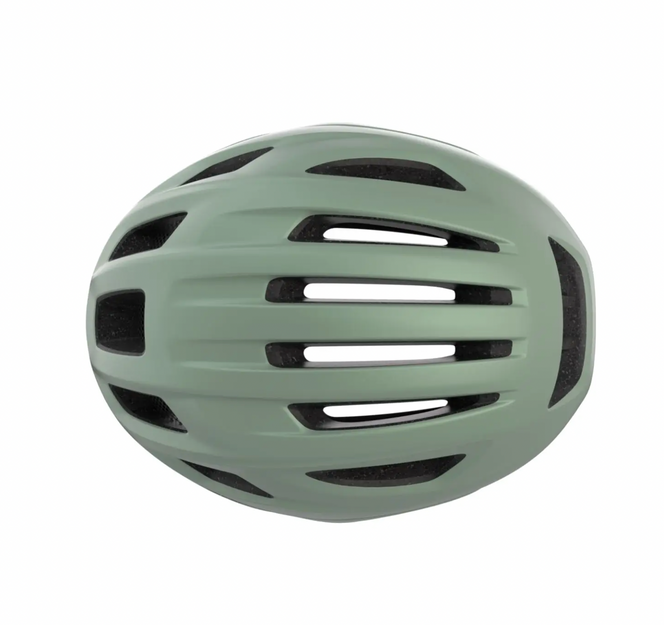 Alpina PARANUS URBAN in Willow Green Matt