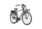 Gazelle E-Bike Heavy Duty NL C5 HMB Petrol 2022 - Herren